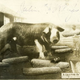 Illustration for article titled The early 1900s version of Photoshop involved lots of giant rabbits and corn